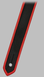 Click for Larger Image