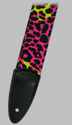 Click for Larger Image