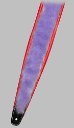 Click for Larger Image