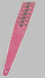 Click for Larger Image