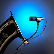 Click for Larger Image