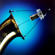 Click for Larger Image